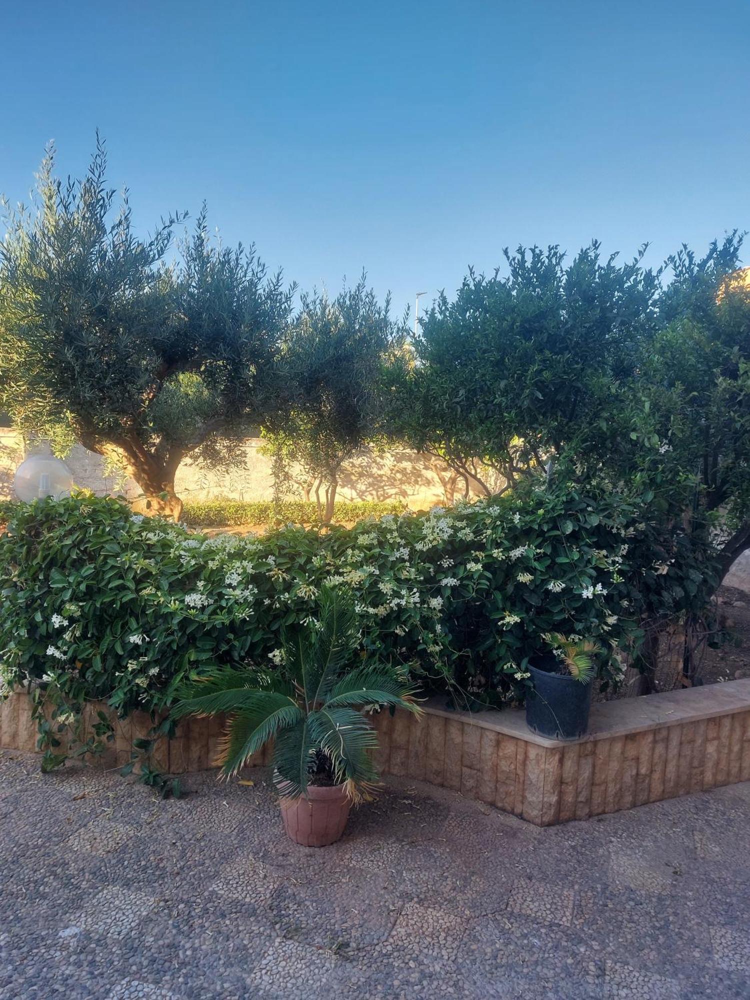 Alcantara Suites Trapani Buitenkant foto